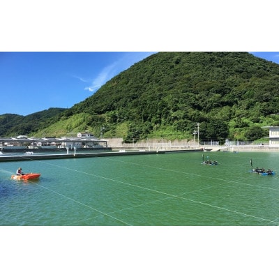 活き〆急速冷凍車海老LL(6～9尾)