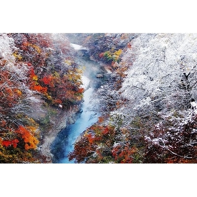 阿部旅館　宿泊券　2名様　ステーキプラン[F7107]