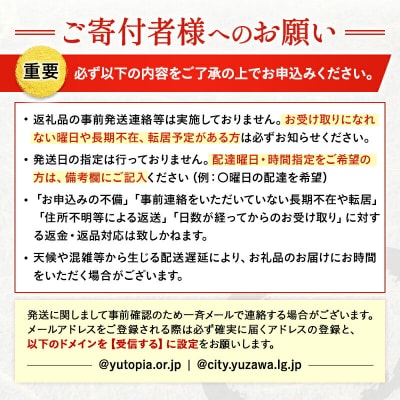 稲庭屋いなにわうどん業務用　めんつゆ付[D0601]