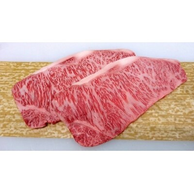 みなせ牛(秋田産黒毛和牛)特選ステーキ満足コース[H1-1802]