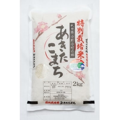 稲庭うどん・信州そば詰合せ 贈答用木箱【TSG-30N】[M0703] | お礼品