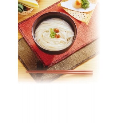 稲庭手延うどん10袋・そうめん10袋詰合せ[C3-0901]