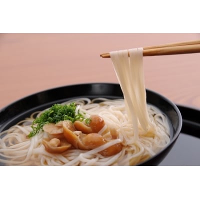 稲庭宝来うどん　2人前6袋　紙化粧箱つゆ付[B1-1103]