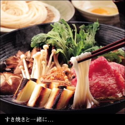 いなにわ手綯うどん　WRF13[H0701]