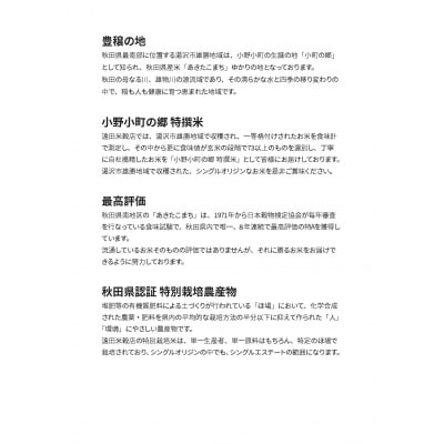 【令和7年産米】小野小町の郷特撰米あきたこまち5kg×1袋[B7-2202]