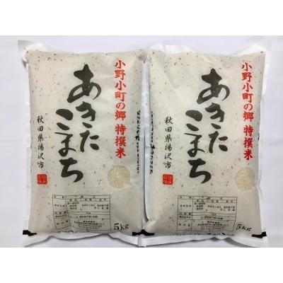 【令和7年産米】小野小町の郷特撰米あきたこまち　5kg×2袋[C2203]
