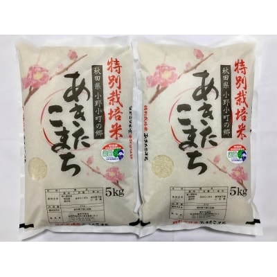 【令和7年産米】小野小町の郷特別栽培米あきたこまち　5kg×2袋[C7-2201]