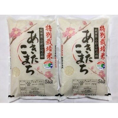 【令和7年産米】小野小町の郷特別栽培米あきたこまち　5kg×2袋[C3-2202]