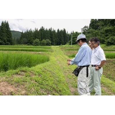 【令和7年産米】小野小町の郷特別栽培米あきたこまち　5kg×2袋[C3-2202]