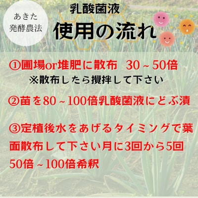 環境に優しい農業用乳酸菌　BARU乳酸菌液　1000ml[M9903]