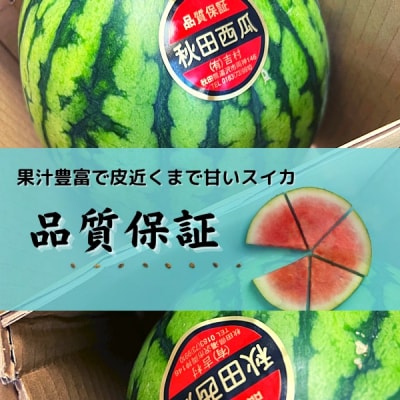 すいか 秋田県産 小玉スイカ 夏丸チッチェ 家庭用 旬 夏 2玉[B6-9901]
