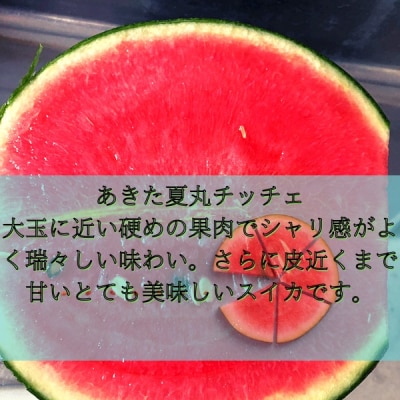 すいか 秋田県産 小玉スイカ 夏丸チッチェ 家庭用 旬 夏 2玉[B6-9901]