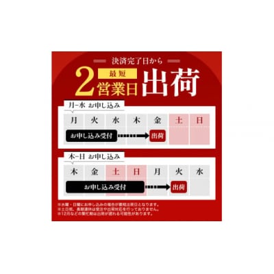 稲庭古来うどん　2,400gチャック付・つゆ付[B5-1403]
