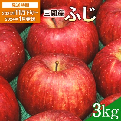 三関産りんご(ふじ)　3kg[K2601] | ふるさと納税のお礼品