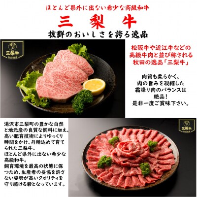 秋田産特選肉セット[C1601]