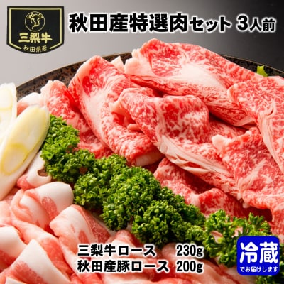 秋田産特選肉セット　3人前[B7-1601]