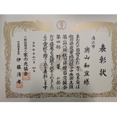 秋田ゆざわ根が美人鍋セット　TYPE比内地鶏[H4-10901]