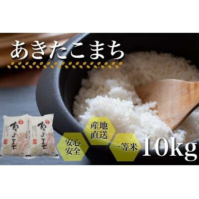 【令和4年産米】秋田県湯沢市産　産地直送あきたこまち10kg(5kg×2袋)(B2902) | ふるさと納税のお礼品