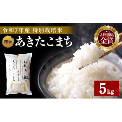 【令和7年産】特別栽培米 あきたこまち 精米 5kg[B7-2101]