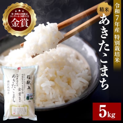 【令和7年産】特別栽培米 あきたこまち 精米 5kg[B7-2101]