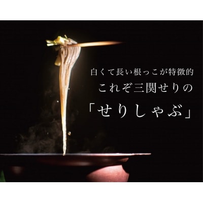 三関産 せり鍋 セット 3～4人前 (せり1kg 比内地鶏鍋つゆ) 生産者直送[B46-10901]