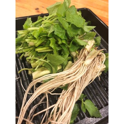 【秋田伝統野菜】三関産せり 5束 せりしゃぶ[B9916]