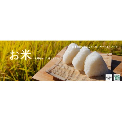 小町の郷のこまち米　精米　5kg×2(B12401)
