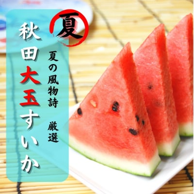 すいか 秋田県産 大玉スイカ 夏丸 家庭 ギフト 旬 夏 贈答 1玉 風物詩[B4-9906]