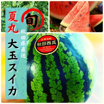 すいか 秋田県産 大玉スイカ 夏丸 家庭 ギフト 旬 夏 贈答 1玉 風物詩[B4-9906]