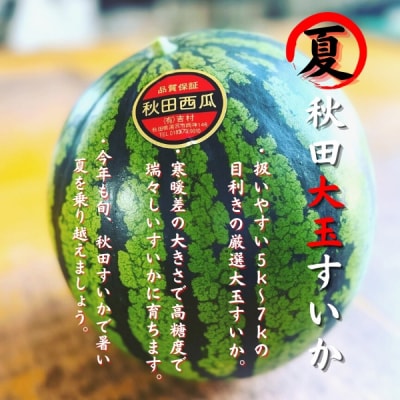 すいか 秋田県産 大玉スイカ 夏丸 家庭 ギフト 旬 夏 贈答 1玉 風物詩[B4-9906]