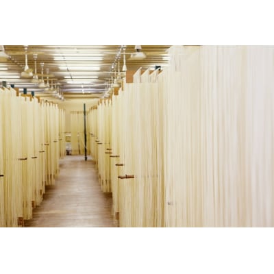 稲庭切りうどん国産原料全量使用　KR-2506[M9405]