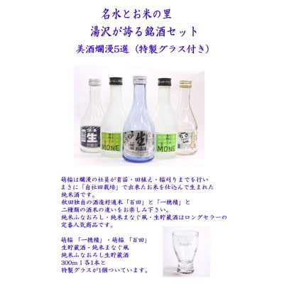 美酒爛漫五撰(特製グラス付)[B5206]