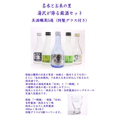 美酒爛漫五撰(特製グラス付)[B1-5208]