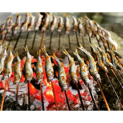 温めるだけで名店の味《こまち鮎》鮎の塩焼き・燻製セット[B4-4201]