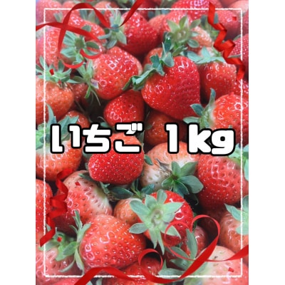 湯沢市秋ノ宮産の甘酸っぱい「いちご」[B2-13302]