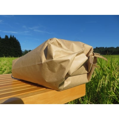 令和8年産 特別栽培ササニシキ 玄米 5kg [B5-135003]