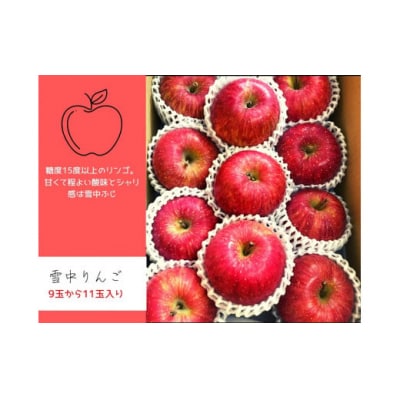 雪中貯蔵 りんご ふじ 3kg 高糖度[B2-9904]