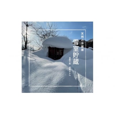 雪中貯蔵 りんご ふじ 3kg 高糖度[B2-9904]