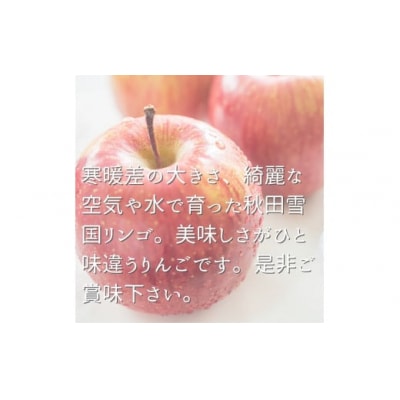 雪中貯蔵 りんご ふじ 3kg 高糖度[B2-9904]