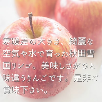 雪中貯蔵 りんご ふじ 贈答用 6玉入り[B2-9905]