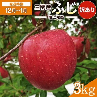 三関りんご 家庭用 ふじ 3kg[K3204]
