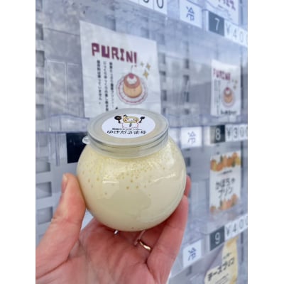 人気の雪国くちどけなめらかプリン 6個入[B3-13701]