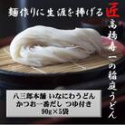 いなにわうどん 90g つゆ付き(1食)×5個[J7502]