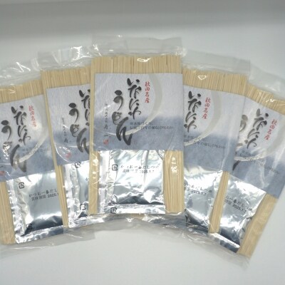 いなにわうどん 90g つゆ付き(1食)×5個[J7502]