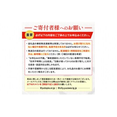 サンふじ100%ジュース(25袋)[B11103]