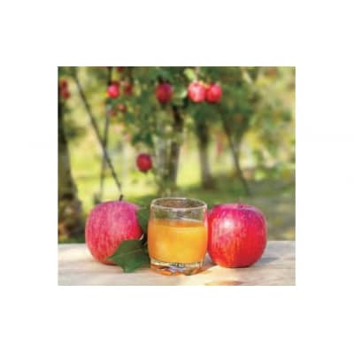 りんごジュース　10個入[J4803]