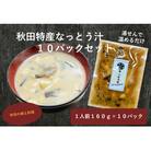 秋田特産なっとう汁(10パック入り)[B2-14402]