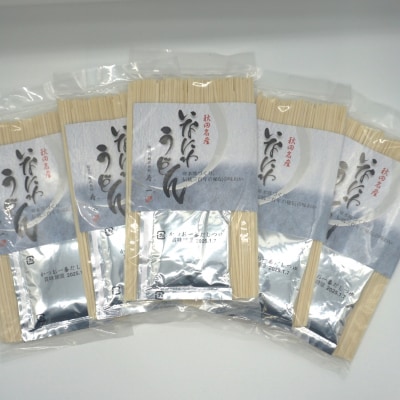 いなにわうどん 90g つゆ付き(1人前)×10個[M7501]
