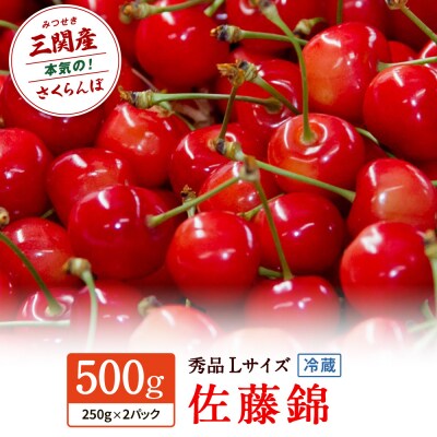 【先行予約】三関産 さくらんぼ 佐藤錦 500g 秀品 Lサイズ 冷蔵 果物 [B4-3201]