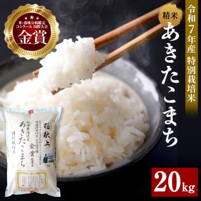 【令和7年産】特別栽培米 あきたこまち 精米 5kg×4袋[O7-2101]